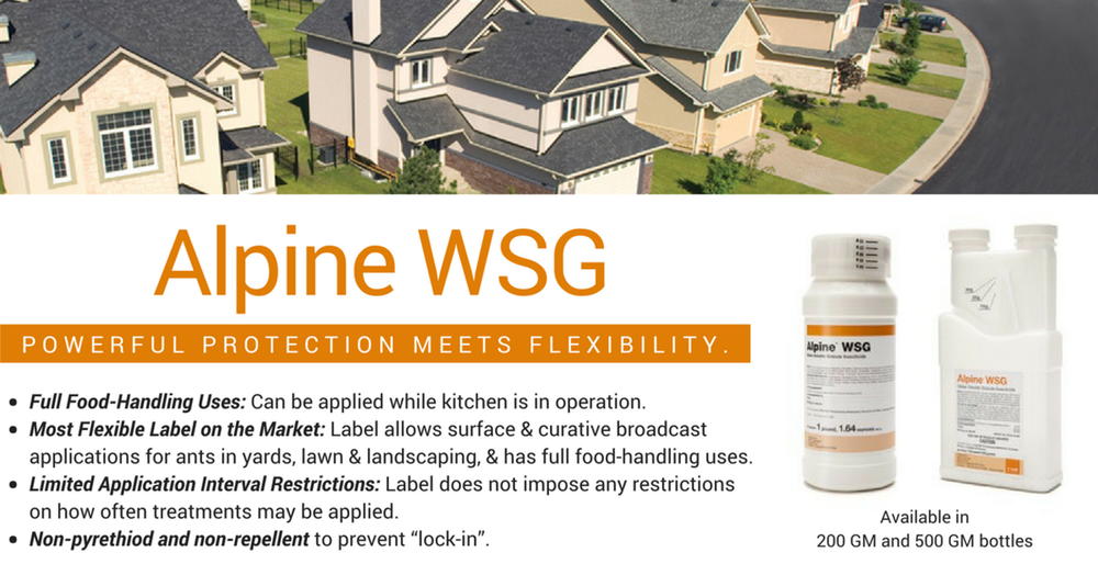 Alpine WSG Water Soluble Granule Insecticide Jar Flea Bed Bug Roach Control