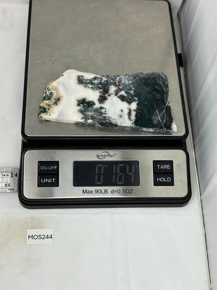 Semi-translucent Moss Agate Slab Cabbing Lapidary Carving Combo Ship Avail