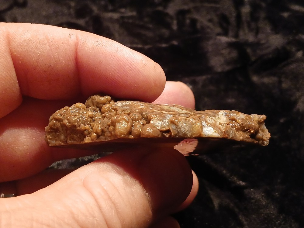 Richardson Ranch Waterline Agate Rough End