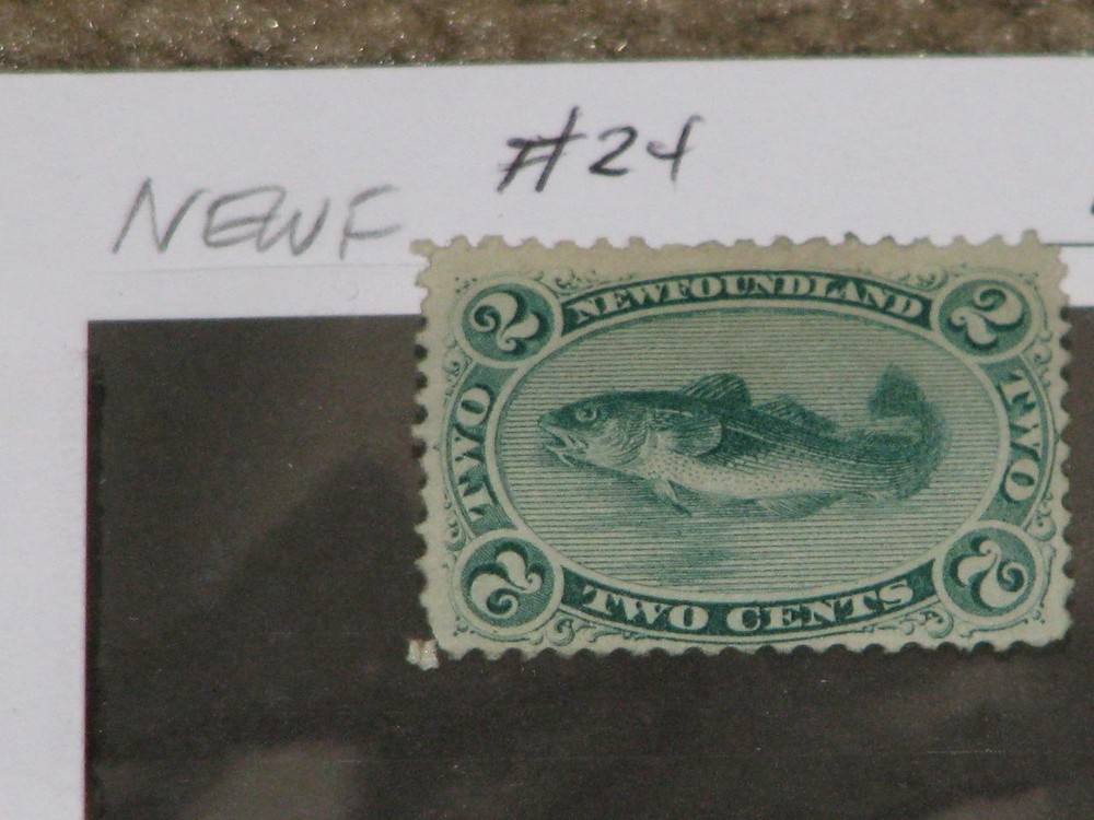 CANADA, NEWFOUNDLAND,SCOTT# 24, MINT HINGED