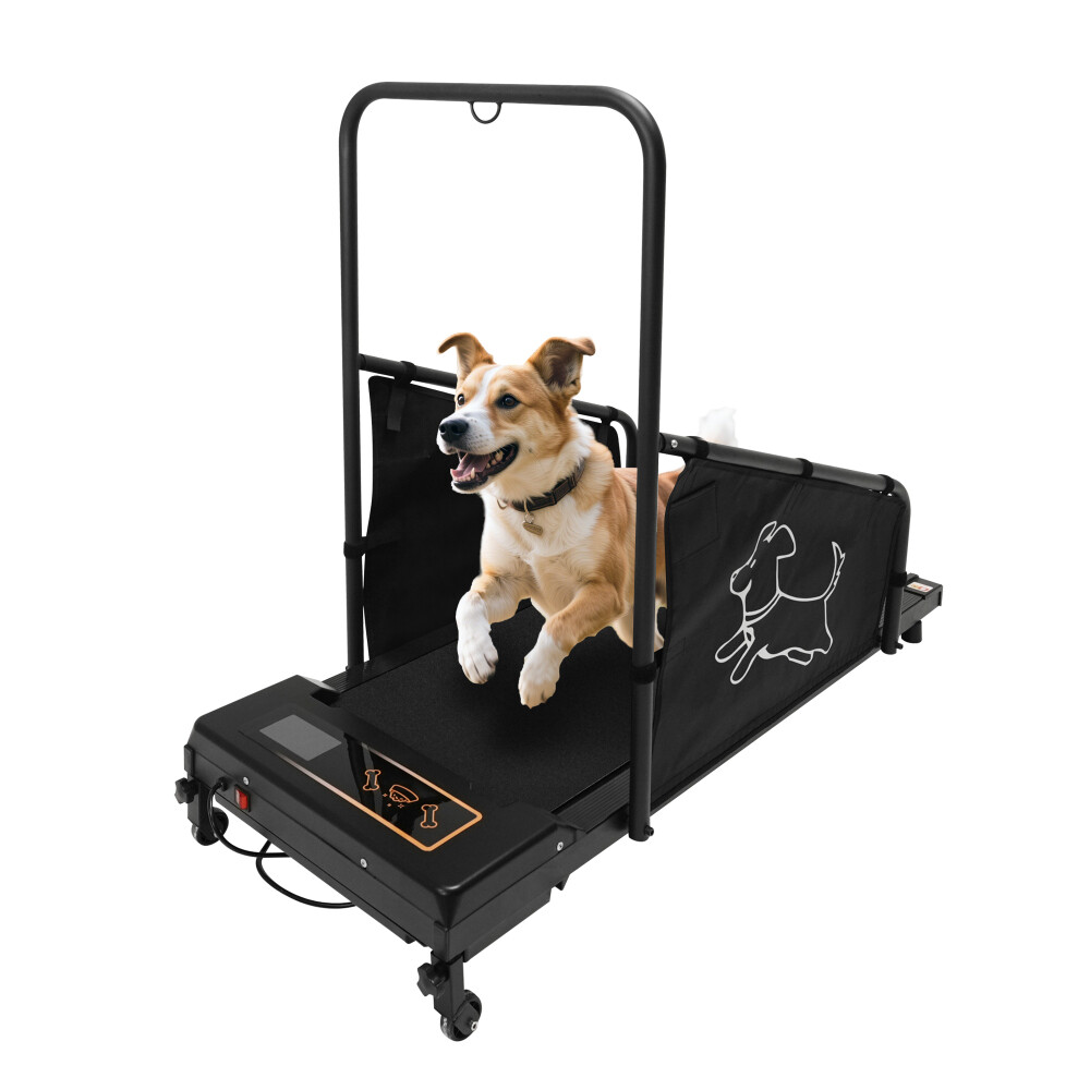 Dog Treadmill for Medium Dogs - Pacer Treadmill for Healthy Pets - Run/Walk