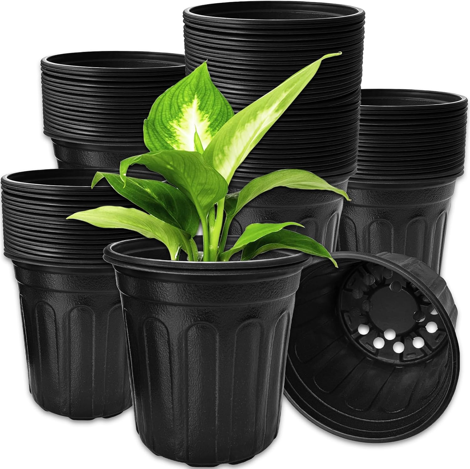 60 Pack 1 Gallon Flexible Plant Nursery Pots Black Plastic Plant Pots with Holes