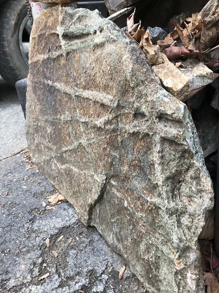 New England Stone/rock With Glacial Striations