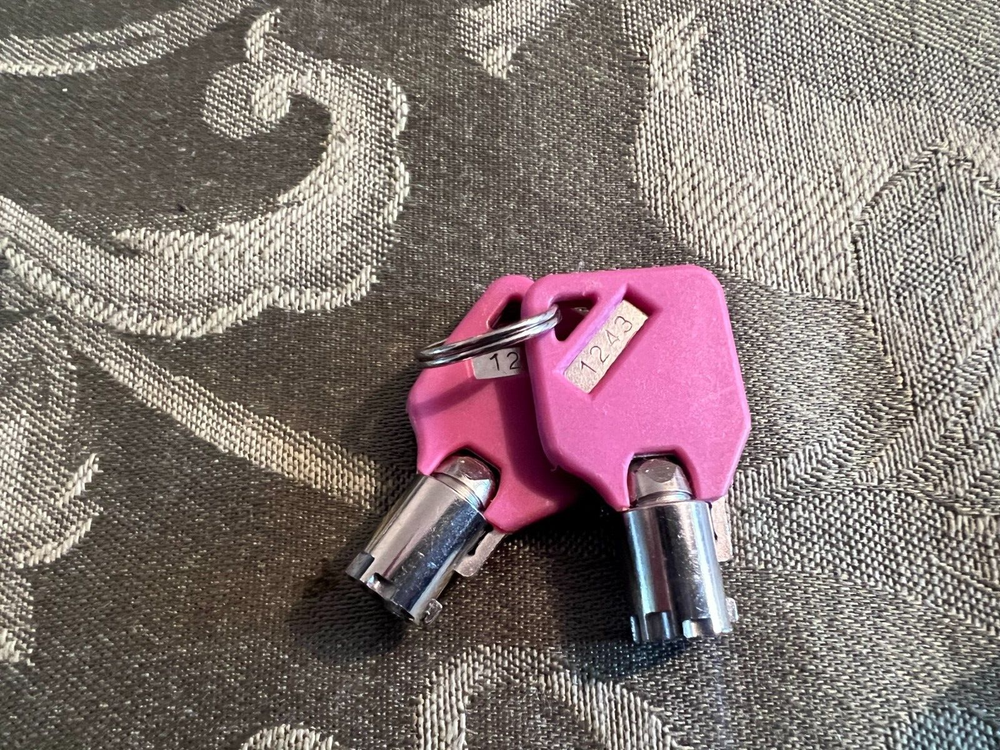 Craftsman Tool Box ORIGINAL Cylindrical Replacement Keys #1243 - Two Keys!