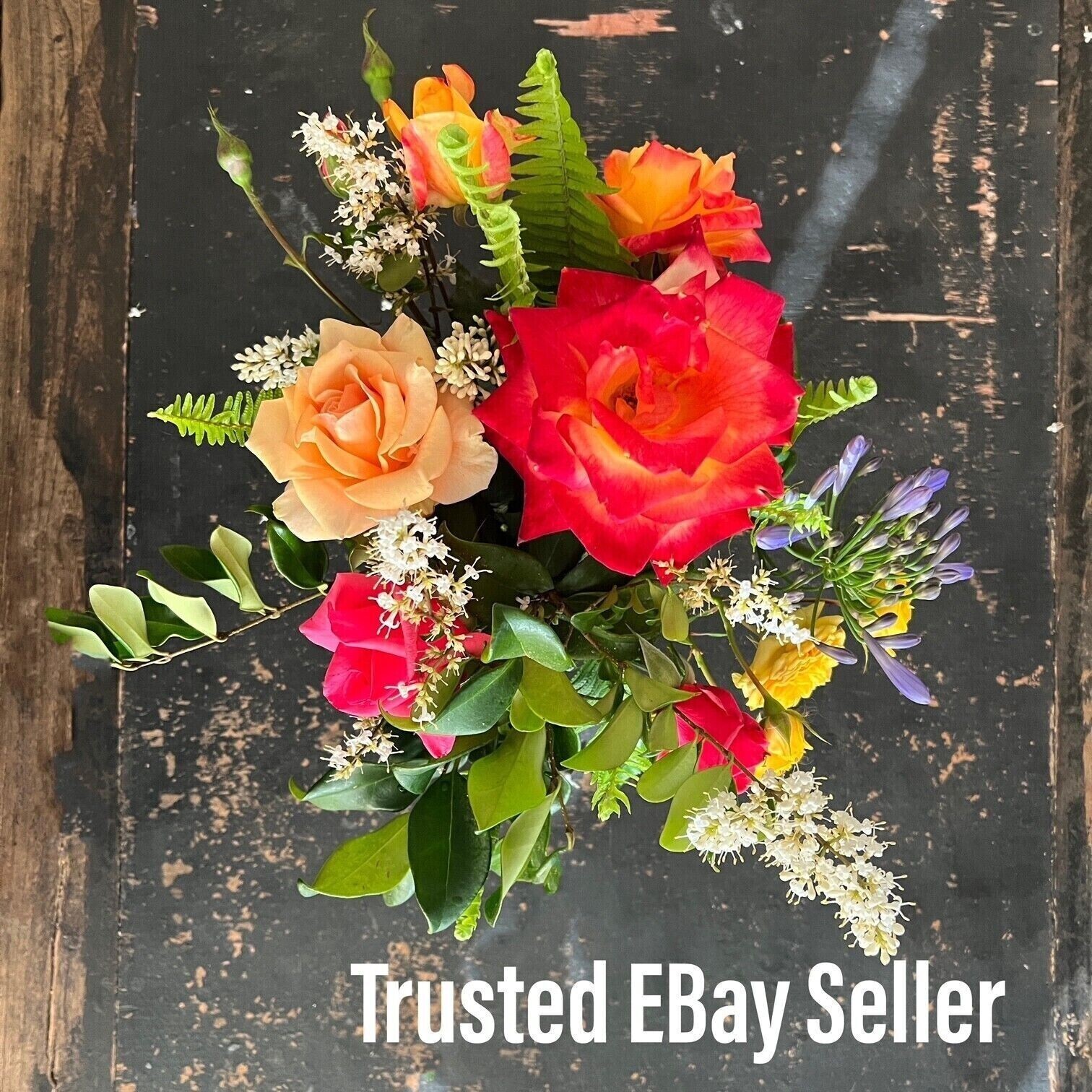 10 Clear Plastic Pill Bottles JARS Screw on Black Caps Container 3814 DecoJars