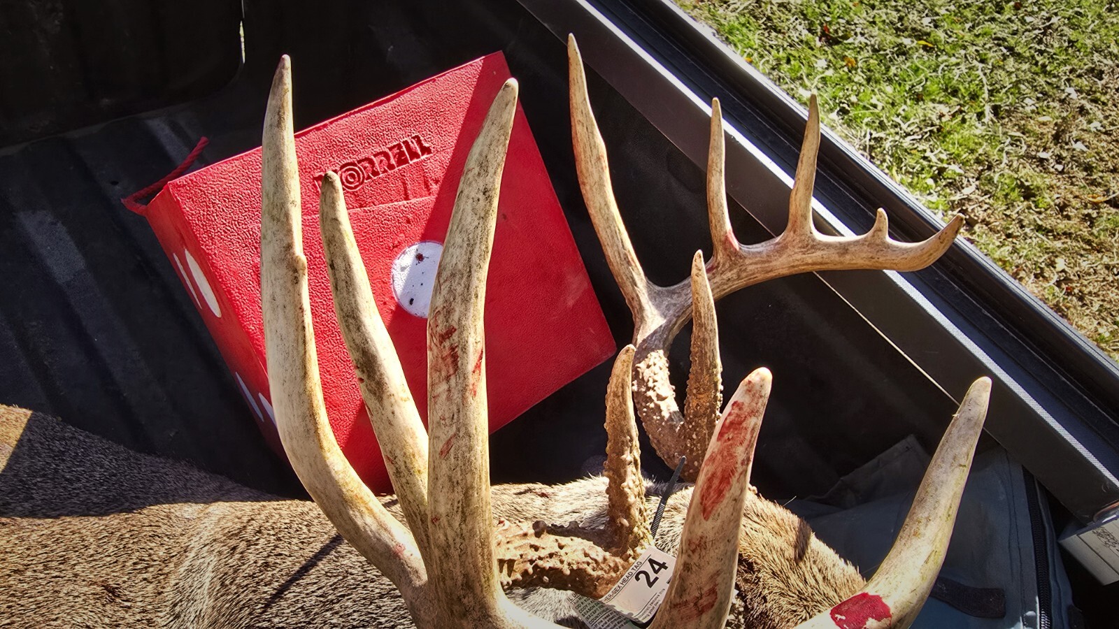 Morrell High Roller Squared Archery Target