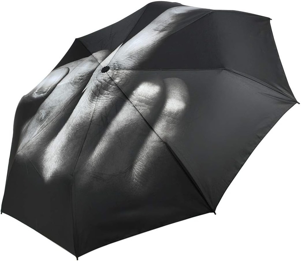 DS. DISTINCTIVE STYLE Middle Finger Umbrella Funny Folding Creative...