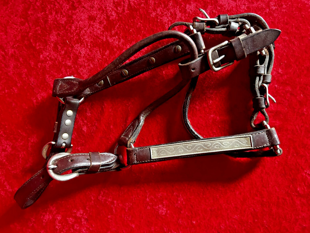 Vintage Leather Show Halter North & Judd Solid Brass Hardware B19