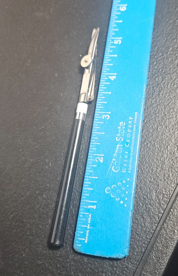 ROTRING RULING PEN 531 / 135. WITH CASE