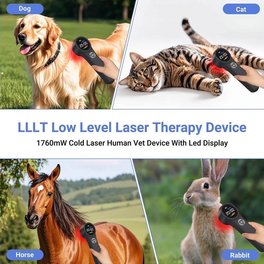 Medical 1760mW Cold Laser Therapy Device Class4 Human Horses Dogs Pain Relief