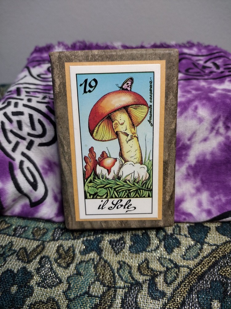 Fungus Tarot by Meneghello 1987