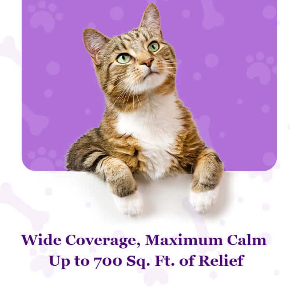 Purrfect Calm Cat Diffuser – Natural Odorless Calming Solution for Stress Relief