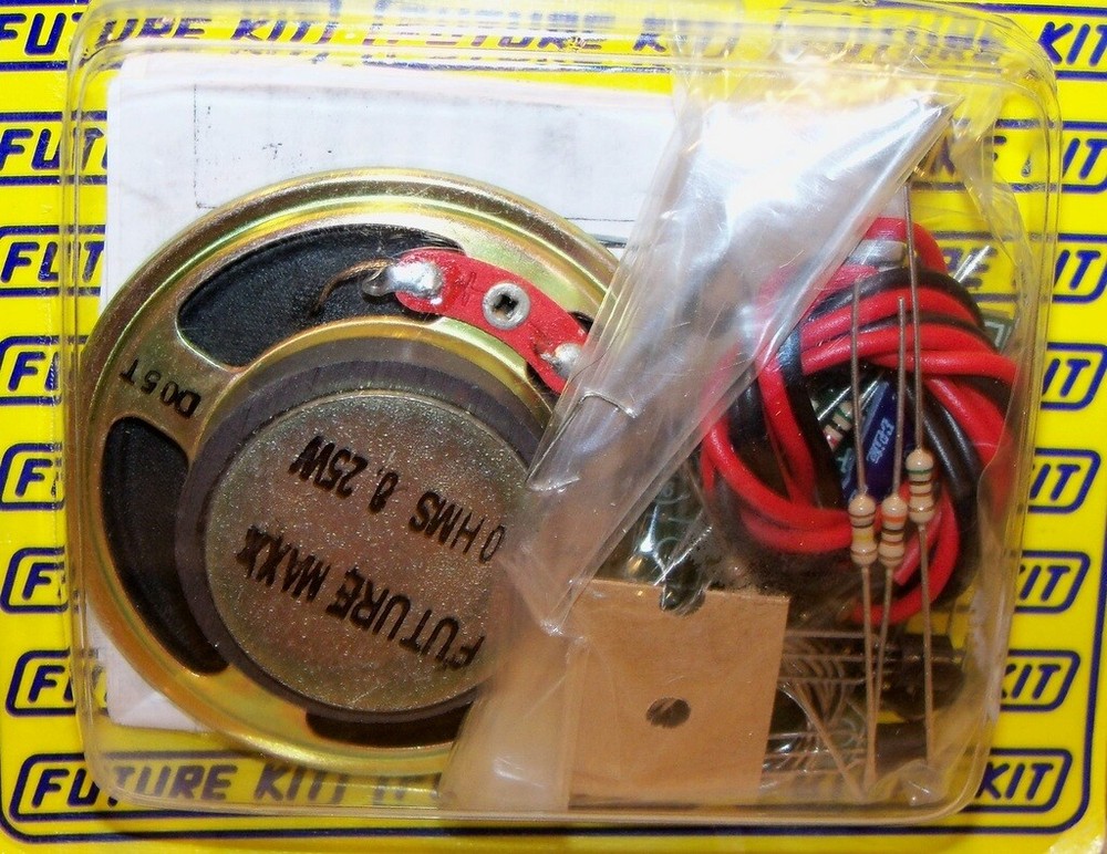 Frog Voice IC Digital (with Speaker) (TA #1 (JS #3-61))