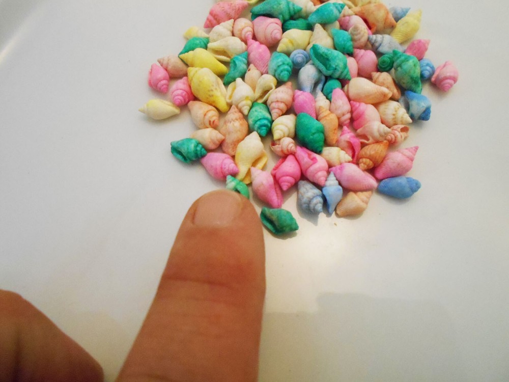4 oz (about 250 shells) Dyed Nassa Mini Shells (1/2") Beach Crafts Seashells