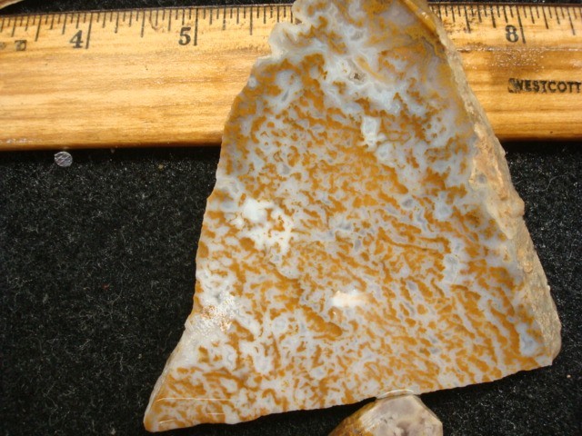 riveria plume slabs