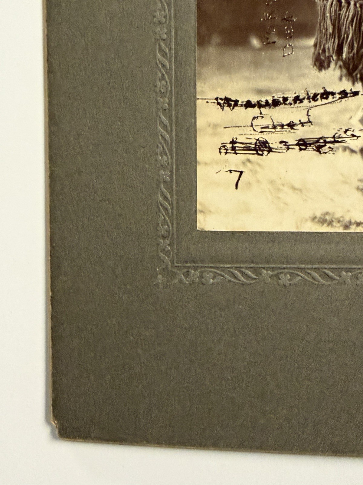 Antique Native American Indian Photograph of Chief Comoway Brohomon; 19th Cent