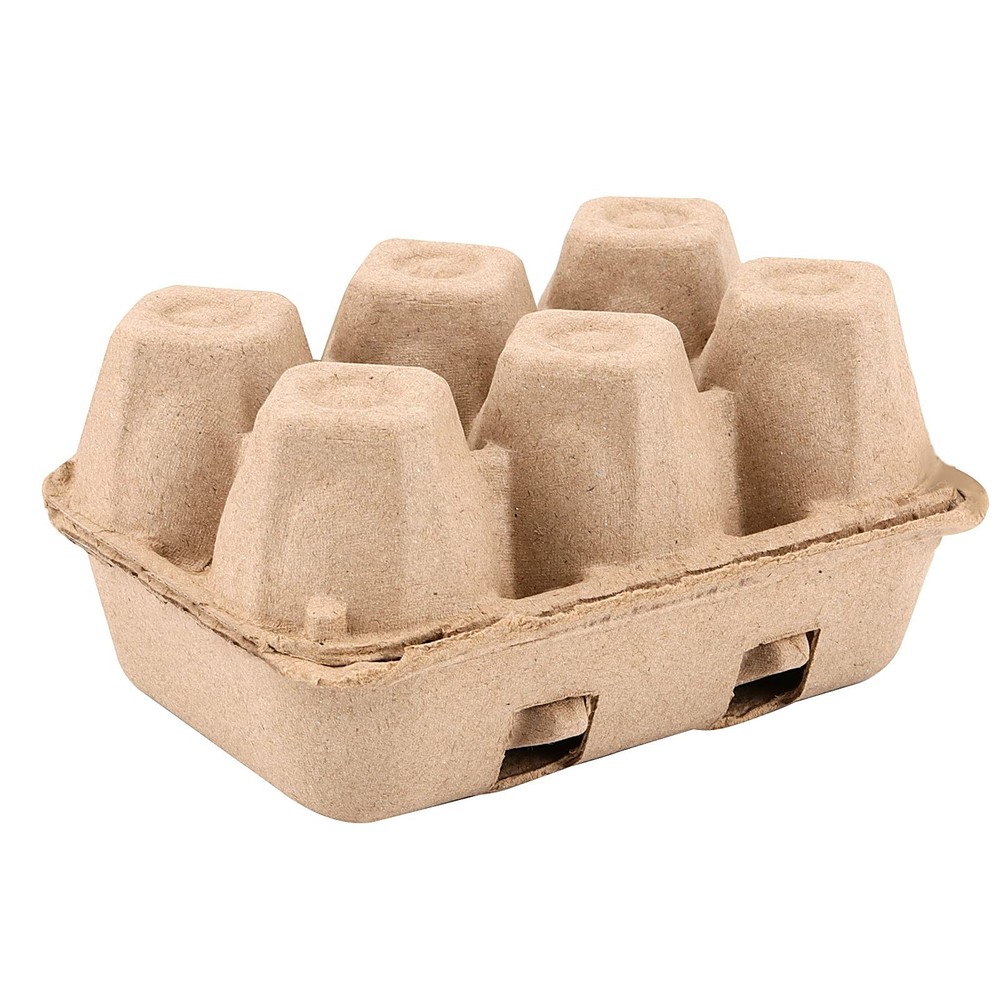 40 Pack 6 Count Egg Cartons, 6 Cell Chicken Egg Holders