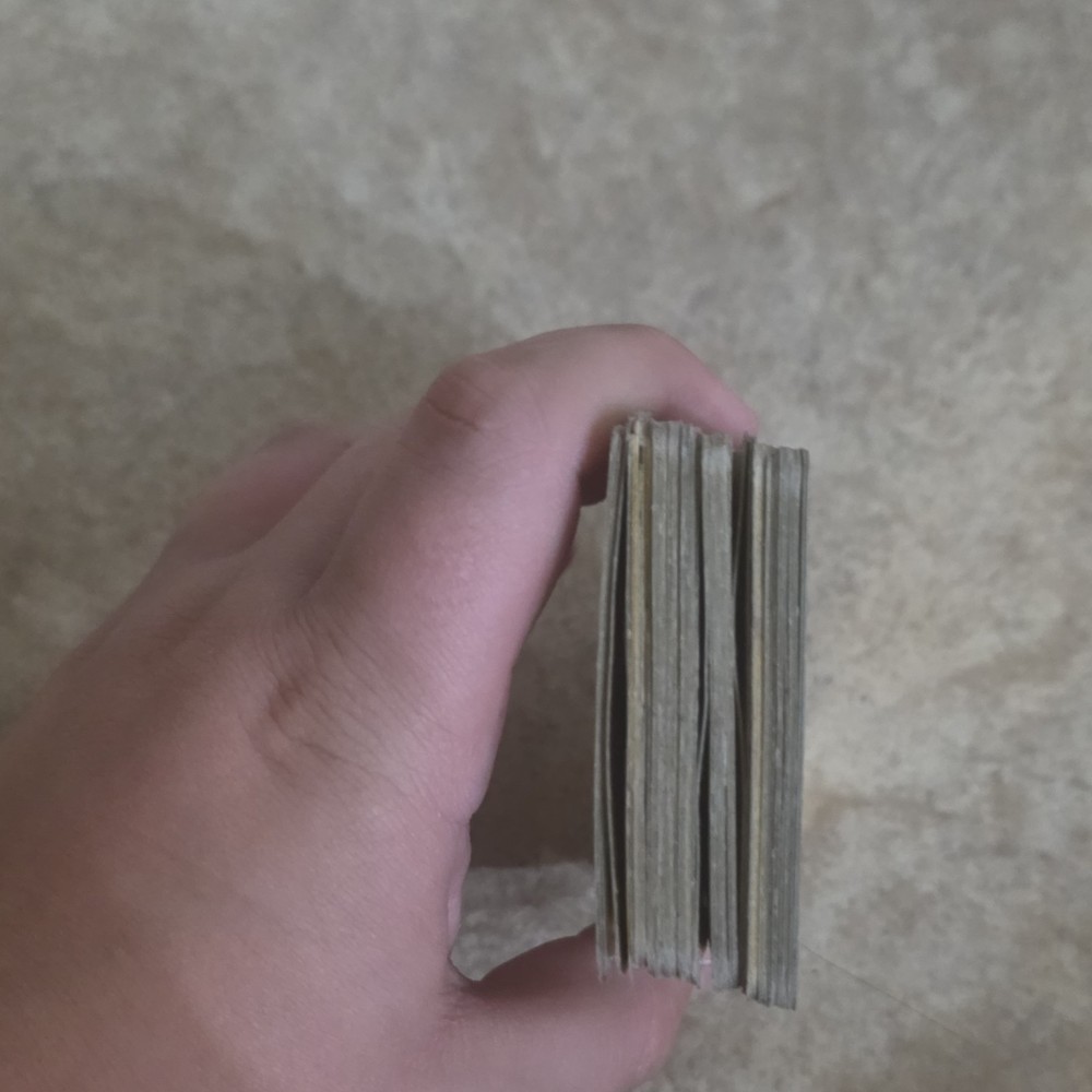 Vintage Playing Card Deck with Illustrated Back