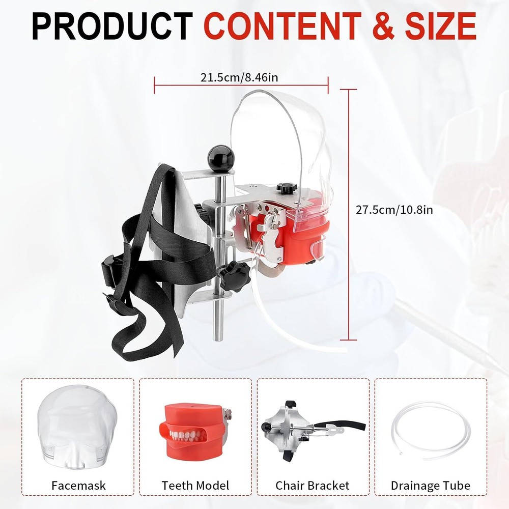 Dental Mannequin Head Dental Manikin Simulator Phantom Head Teaching Practicing
