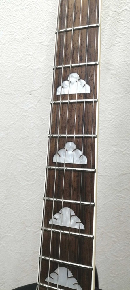 Burny MG Mockingbird Electric Guitar Used