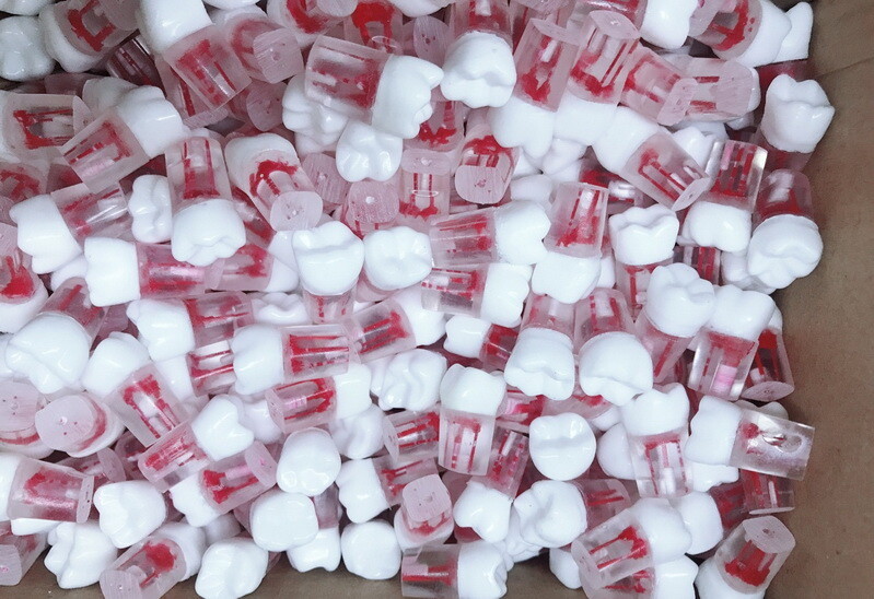 10x Dental clear Root Canal Teeth Study Practice Model Endodontic Pulp File