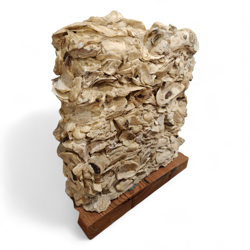 Tabby Concrete Block Sample – Authentic Oyster Shell Construction Display