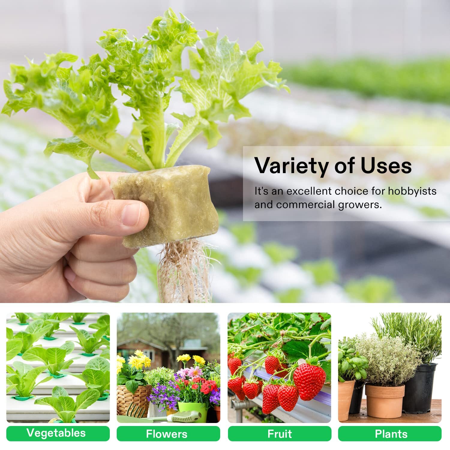 VIVOSUN 1"/1.6" Rockwool Cubes Stonewool Starter for Rooting, Cutting Plants