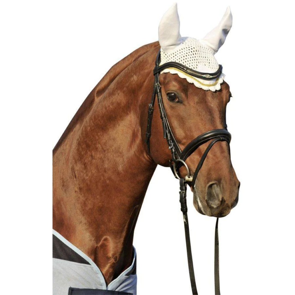 Deep Blue/Gold Ear Bonnet