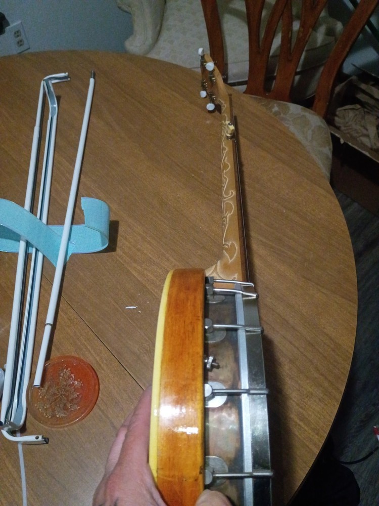 Banjo Needs Strings