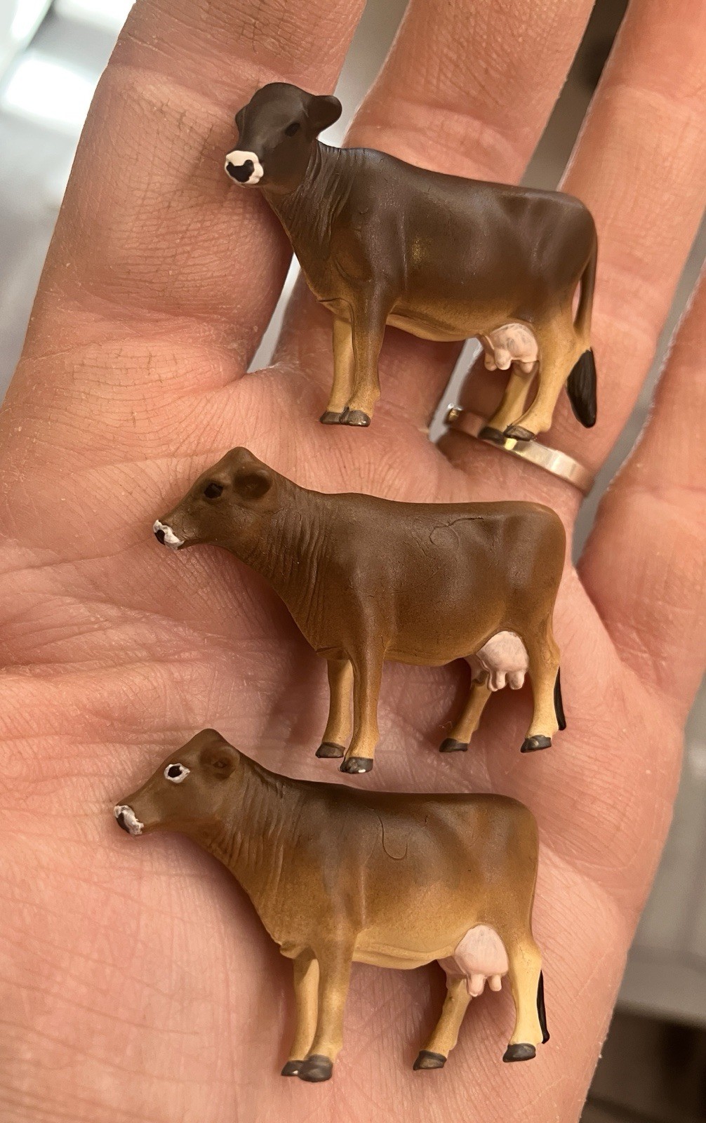 Custom CM Ertl 1:64 Lot Of 12 Jersey/Brown Swiss Milk Cows Cattle Farm Scene