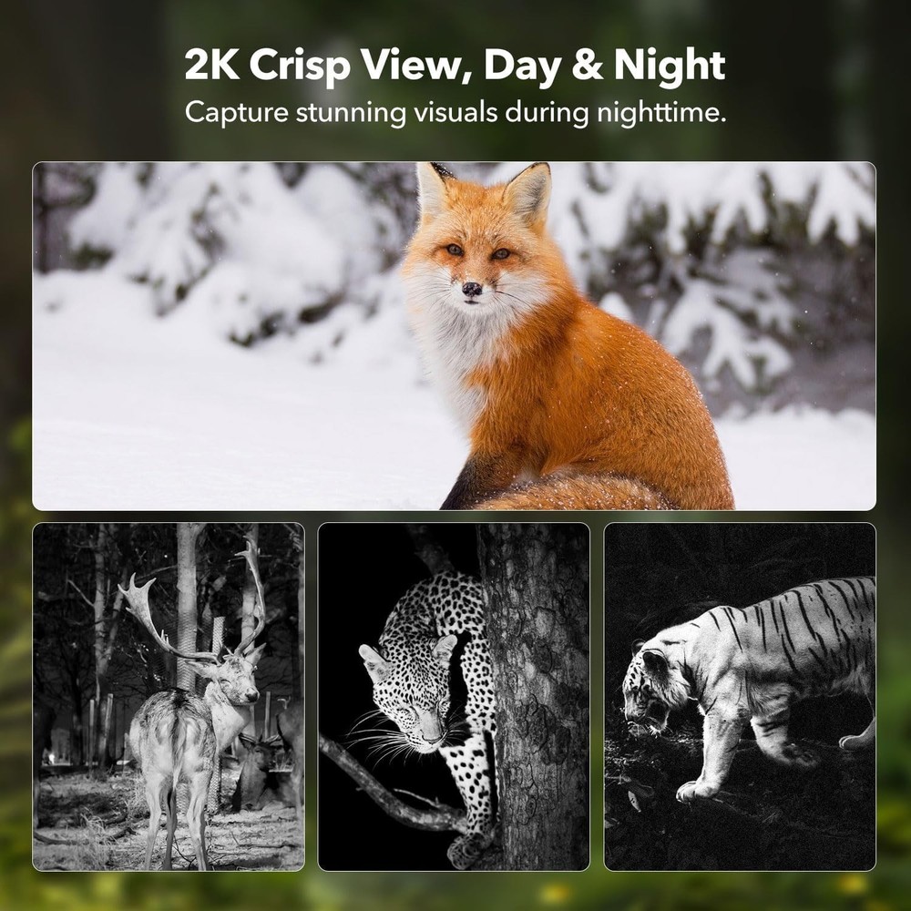 Solar Powered 4G LTE Trail Camera with Live Streaming