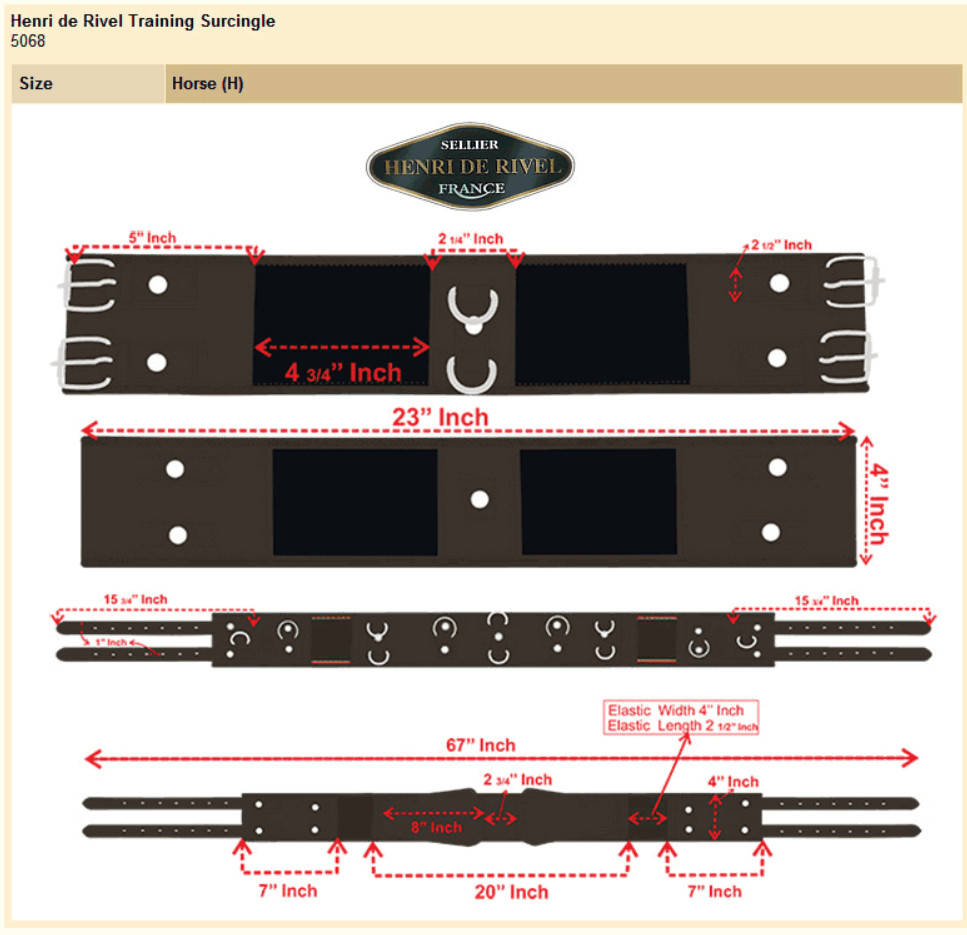 Henri de Rivel Training Surcingle
