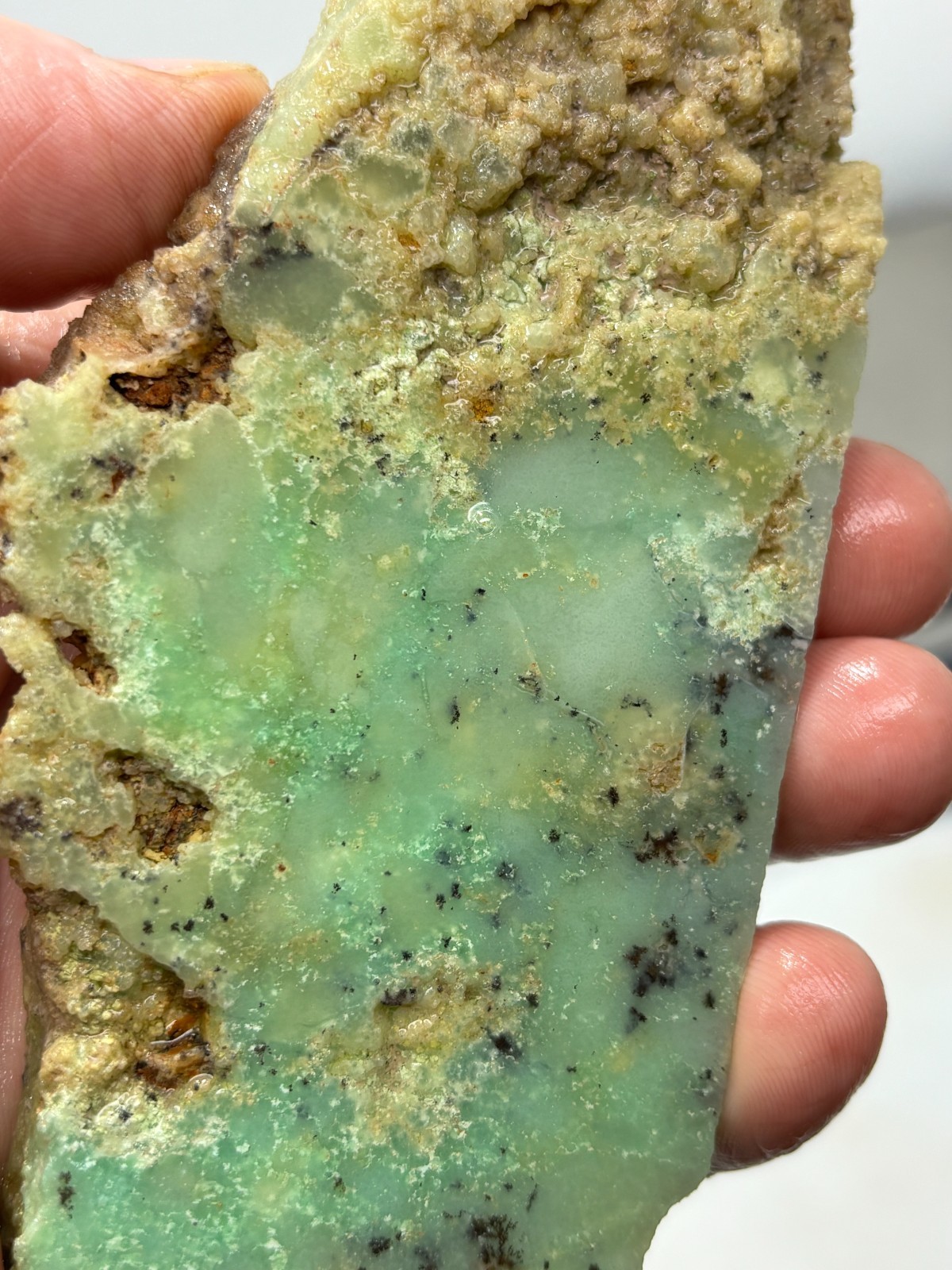Indo Dendritic Chrysoprase Slab Cabbing Lapidary Collecting Combo Ship Avail