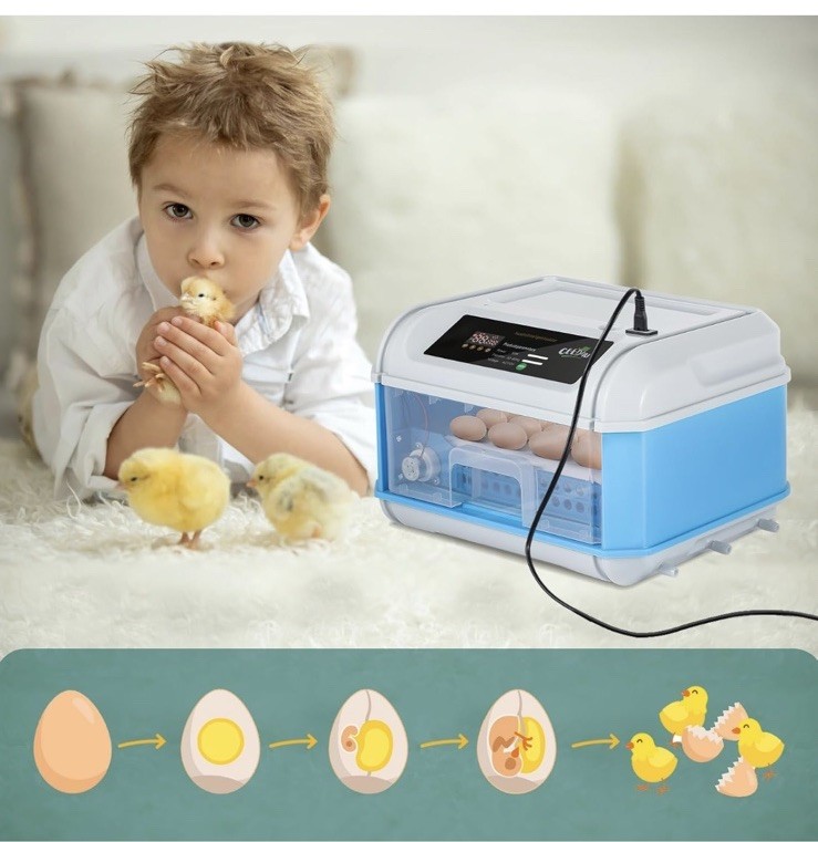 Ceed4u 16 Egg Incubator Auto Turning, Temp Control, Candling, For Hatching Eggs