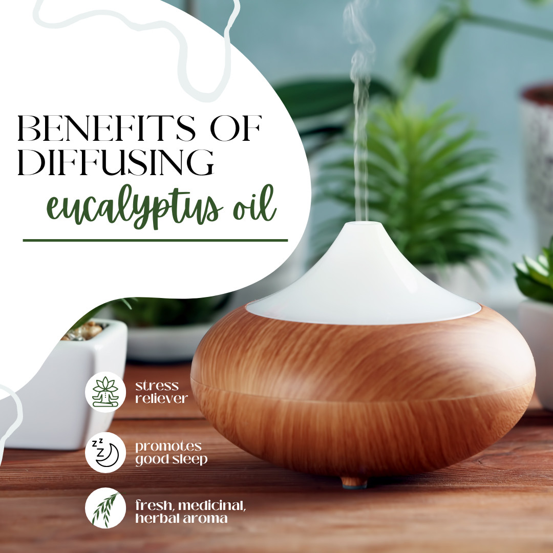 4 fl oz Eucalyptus Globulus Essential Oil Pure All Natural with 3 Free Droppers