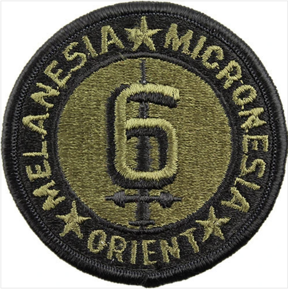 GENUINE U.S. MARINE CORPS SHOULDER PATCH: SIXTH DIVISION - SUBDUED