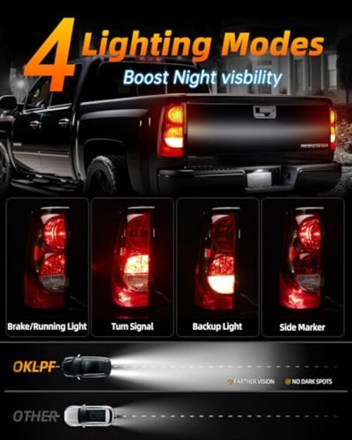 Rear Brake Tail Light Compatible With 2003 Right Passenger Side(Black border)