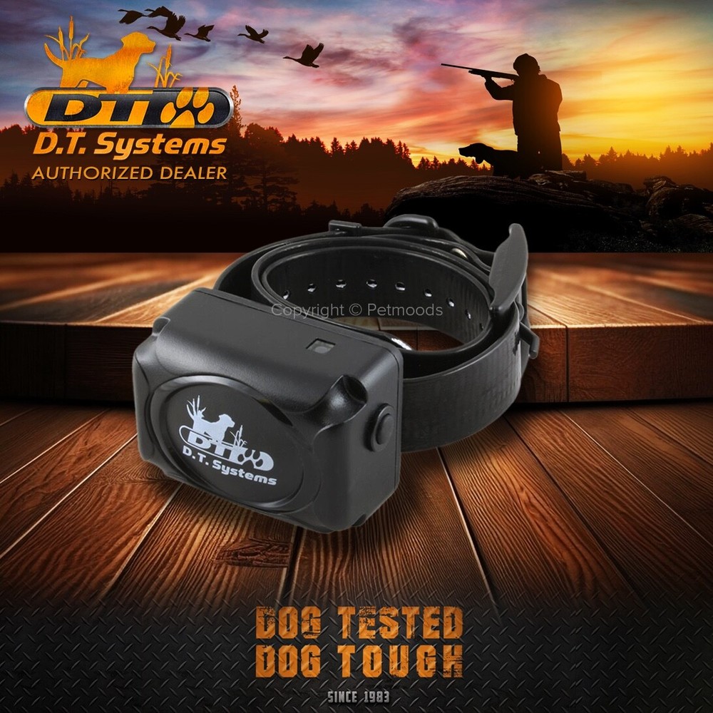 DT Systems H2O 1820 PLUS Expandable Dog Remote Trainer