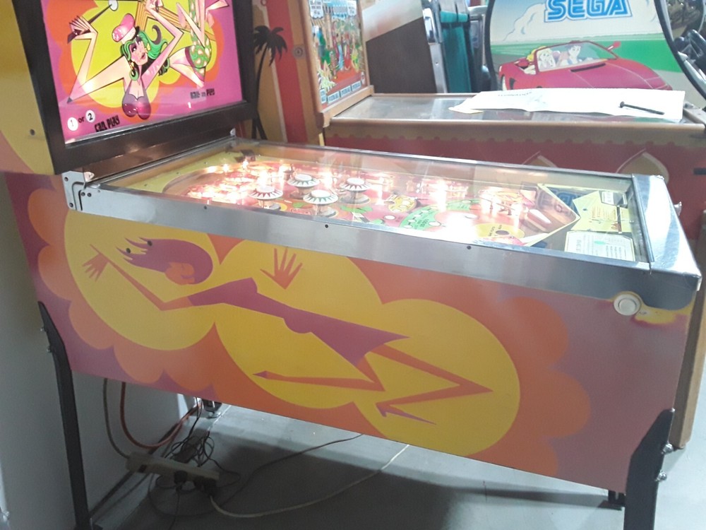 Zip-A-Doo Pinball Machine by Bally