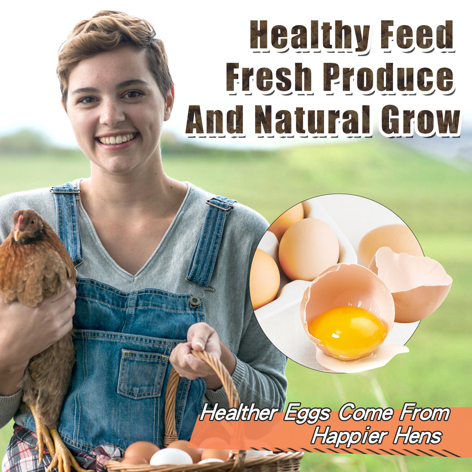 Bulk Dried Black Soldier Fly Larvae BSF Food for Chickens Wild Birds Turtles Lot