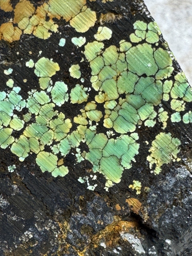 Natural Hubei turquoise polychrome multi color