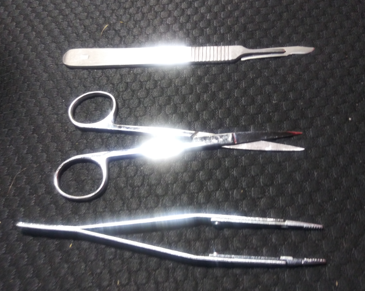 Surgical Grade Scalpel, Scissors and Forceps Kit