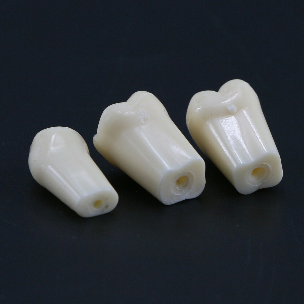 28Pcs Replacement Teeth Upper Lower For Typodont Teeth Model Frasaco AG3 Type US