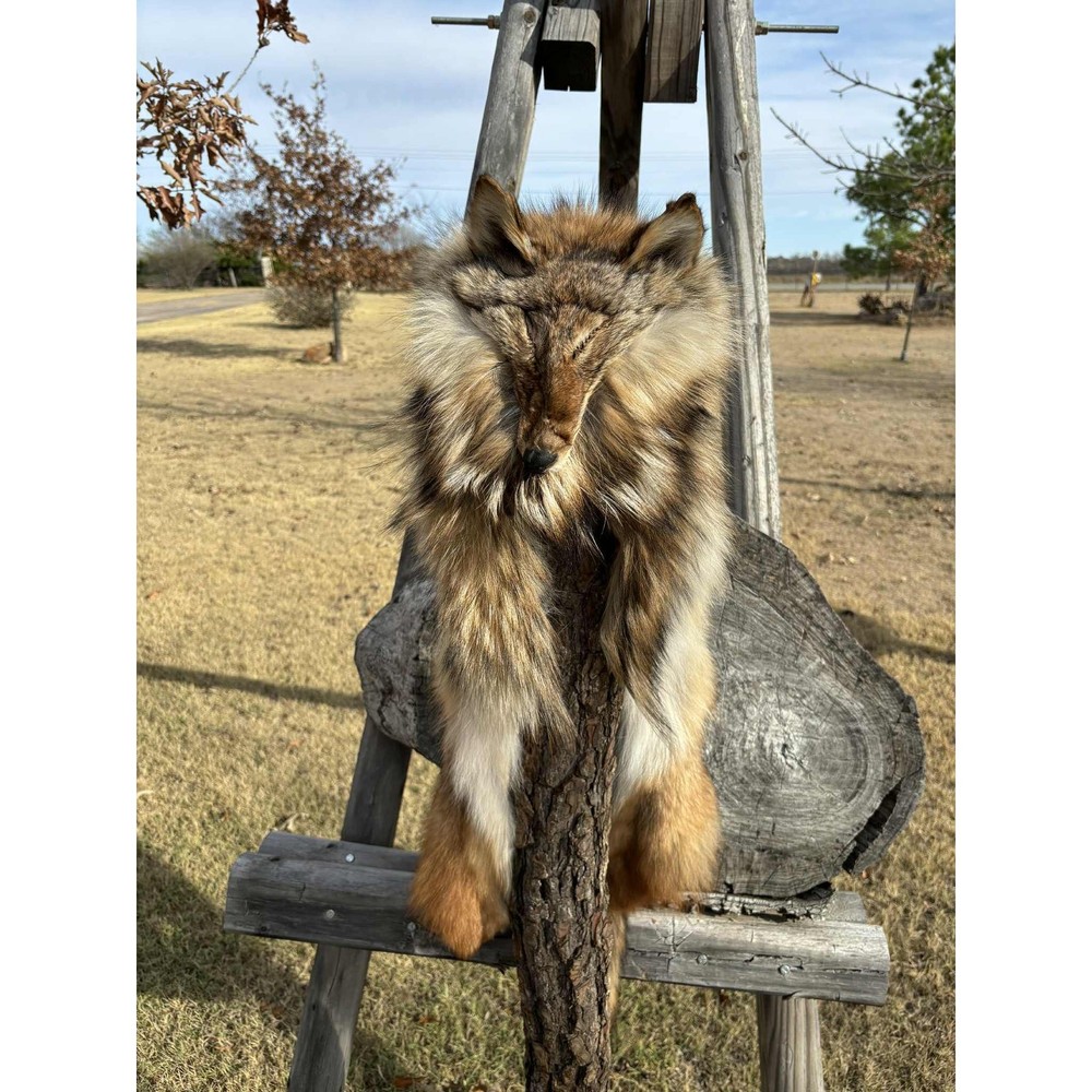 FHMM3 - Coyote Drape Hat