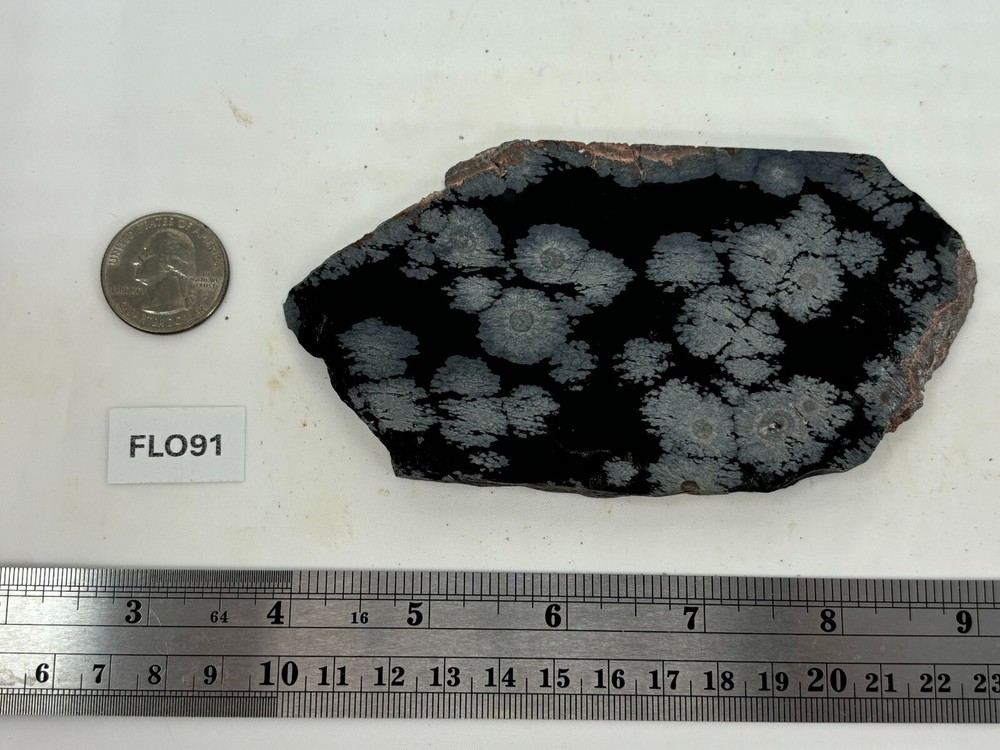 Flower Obsidian (large snowflake) Cabbing Knapping Collecting Combo Ship Avail