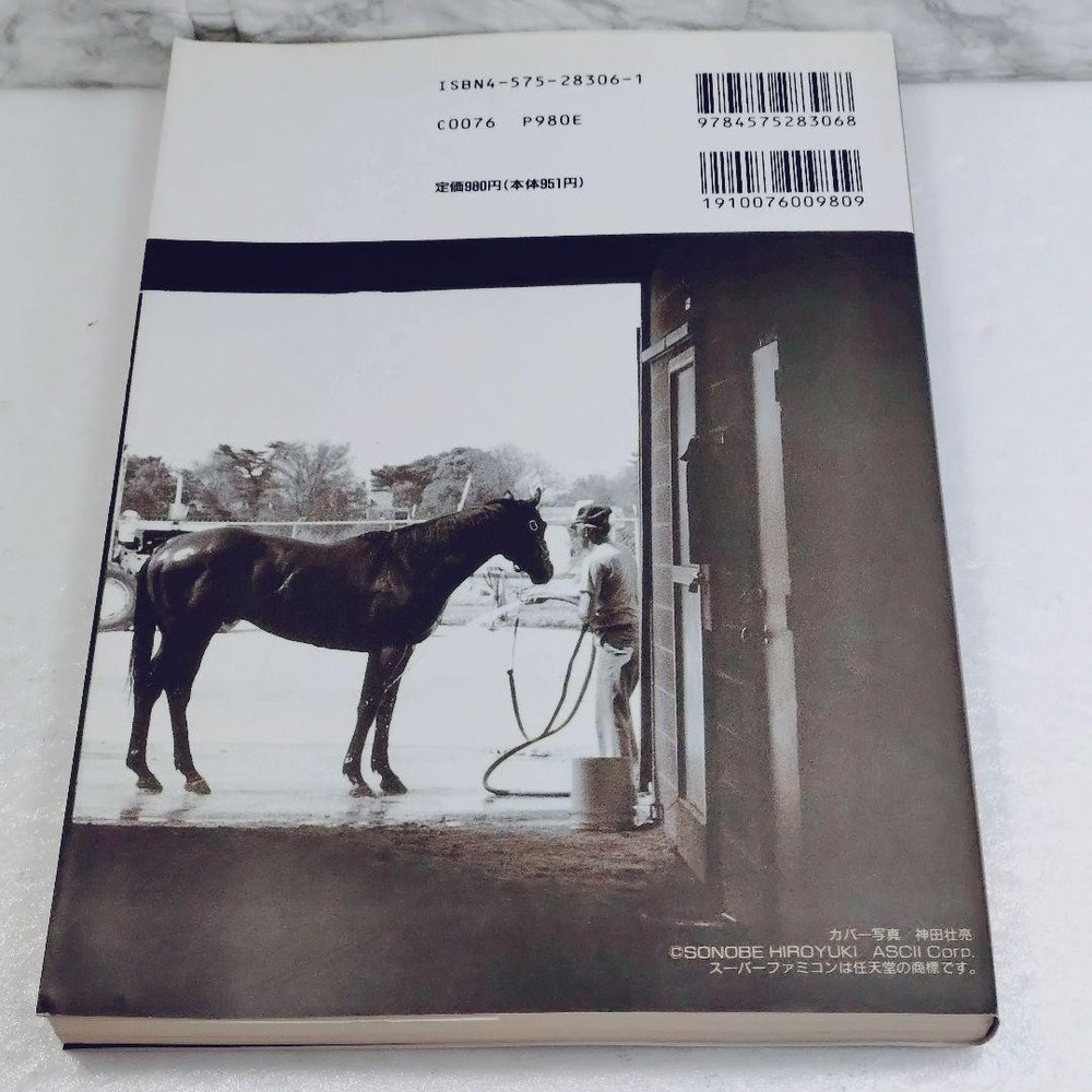 Derby Stallion 2 winning strategy