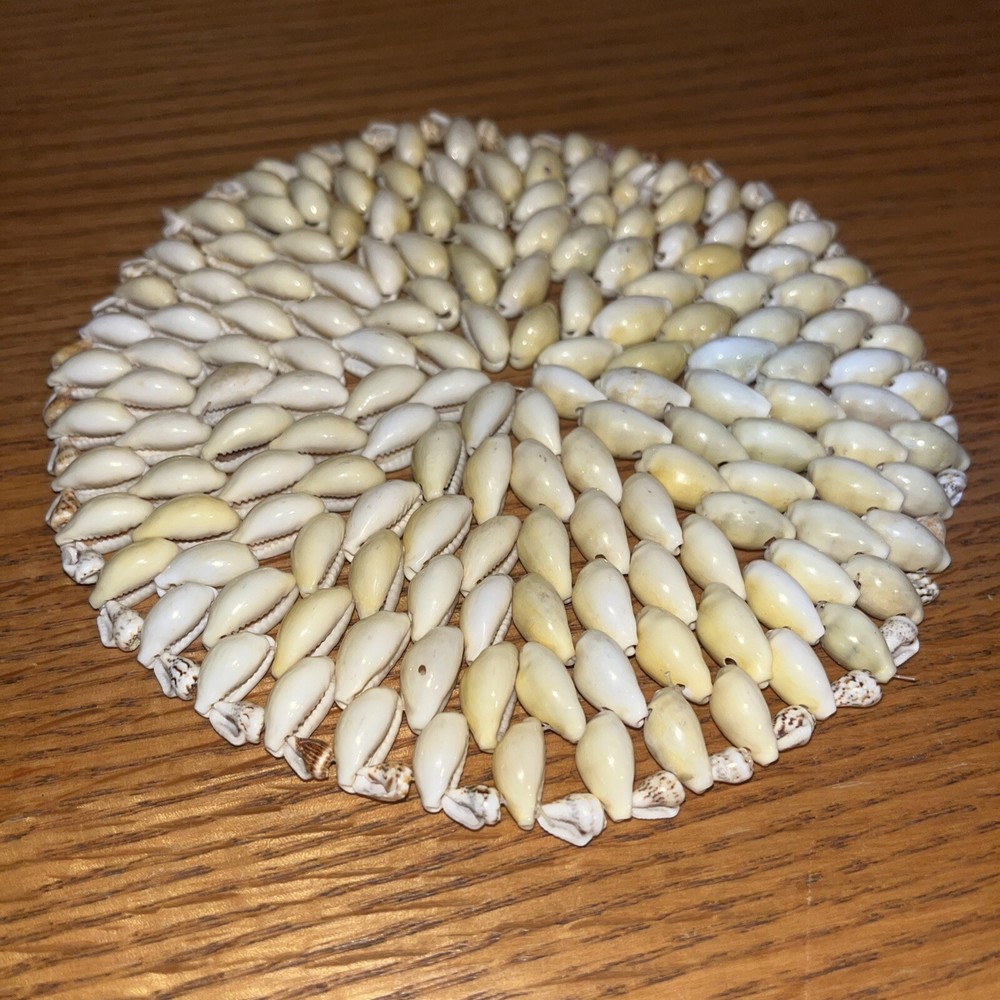 pooka shell large coaster beach decor