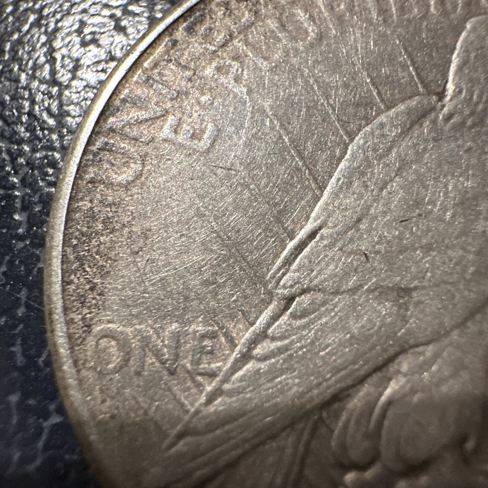 1925 peace silver dollar