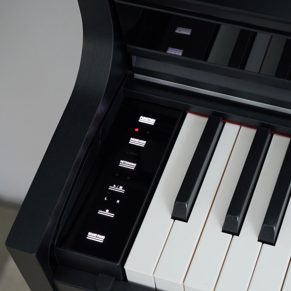 Casio Celviano AP-S450 Digital Piano - Black