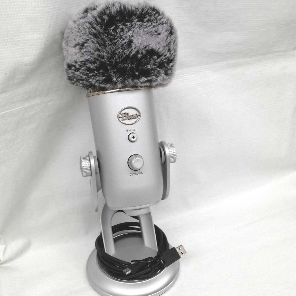 BLUE Condenser Microphone A00121 Used